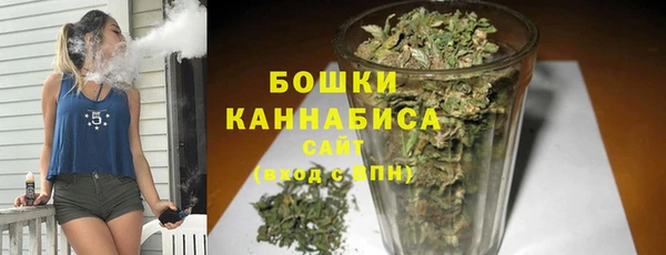 гидра Баксан
