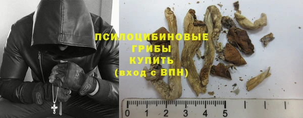 прущая мука Пересвет