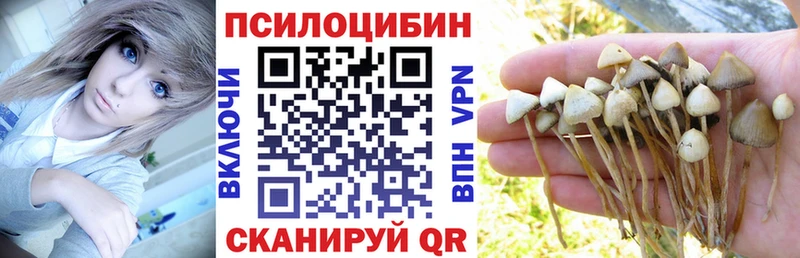 Псилоцибиновые грибы Cubensis  где найти наркотики  Сухой Лог 